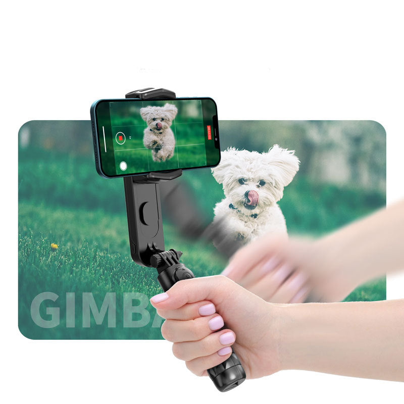 Handheld Gimbal And Bluetooth Selfie Stick Tripod - Tropical Escape